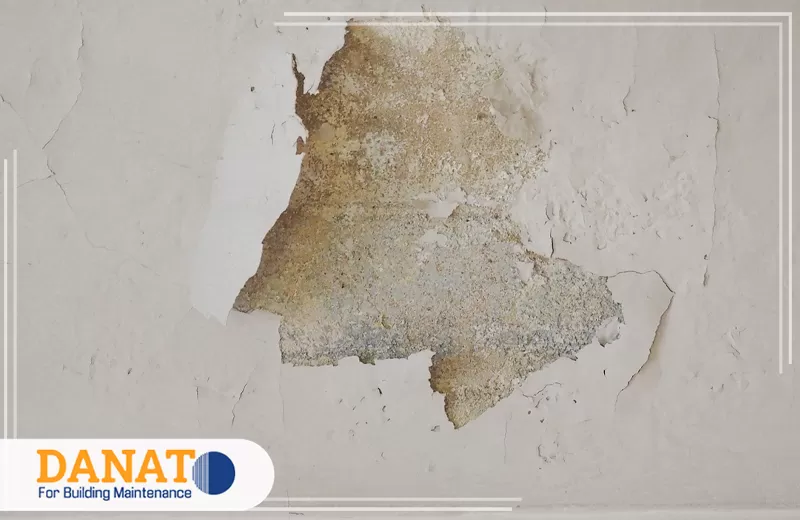 علاج الرطوبة للحمامات والمطابخ في راس الخيمة 0545248958 شركة دانات اللؤلؤ معالجة الجدران الرطبة وإزالة آثار العفن والبقع