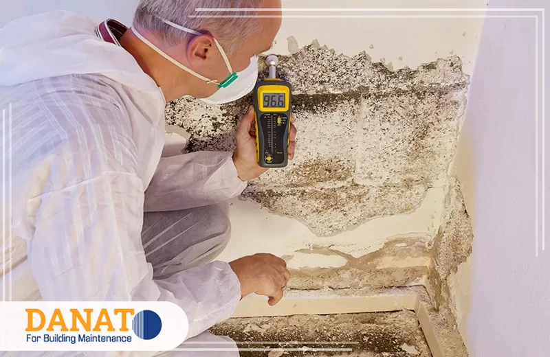 أرخص شركة معالجة الرطوبة في الإمارات 0545248958 شركة دانات اللؤلؤ ترميم الأضرار الناتجة عن تسربات المياه والرطوبة