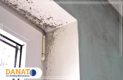 شركة معالجة الرطوبة في دبي