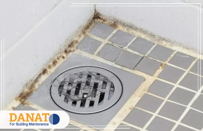 التخلص من الروائح الكريهة في الحمام ام القيوين 0545248958 شركة دانات اللؤلؤ نقدم خدمات صيانة متخصصة للمراوح وأنظمة التكييف، مع حلول فعَّالة للقضاء على الروائح الكريهة وتعقيم الأنظمة. نضمن لكم هواءً نَقِيًّا وبيئة مريحة، باستخدام أحدث التقنيات ومعايير الجودة العالمية.