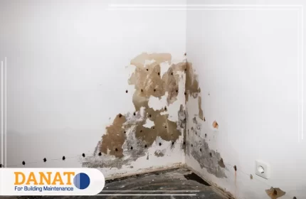 شركة معالجة الرطوبة في الشارقة