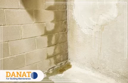 شركة معالجة الرطوبة في العين