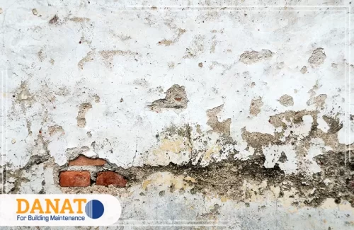 شركة معالجة رطوبة الجدران في الفجيرة 0545248958 دانات اللؤلؤ جدار متضرر من الرطوبة وتقشر الطلاء داخل المنزل قبل علاج شركة معالجة الرطوبة في الفجيرة.