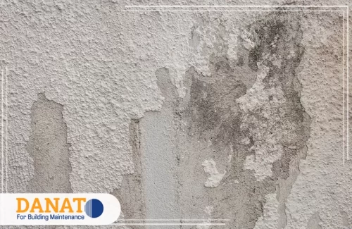 شركة معالجة رطوبة الجدران في راس الخيمة 0545248958 دانات اللؤلؤ تعالج شركة معالجة الرطوبة في راس الخيمة تقشر دهان الجدران بسبب الرطوبة وتعيد السطح لحالة أفضل بسرعة.