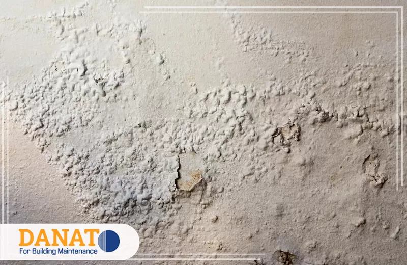 احصل على علاج رطوبة الجدران من دانات اللؤلؤ 0545248958 إصلاح جدران متضررة بسبب الرطوبة والتشققات