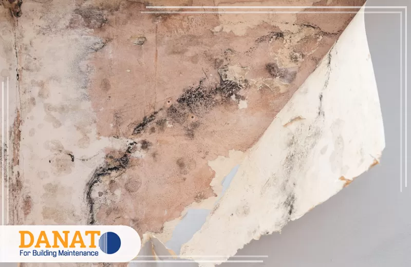 لمعالجة الرطوبة في الشارقة تواصل مع دانات اللؤلؤ 0545248958 معالجة آثار الرطوبة داخل منزل في الشارقة بطرق فعالة