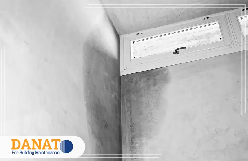 احصل على علاج رطوبة الجدران من دانات اللؤلؤ 0545248958 إصلاح جدران متضررة بسبب الرطوبة والتشققات