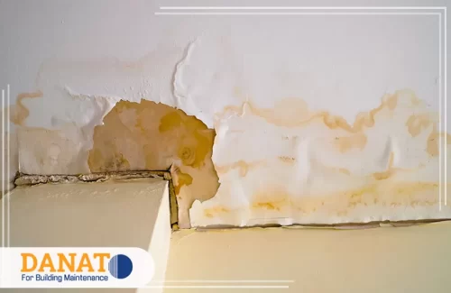 فحص رطوبة الجدران في الفجيرة 0545248958 دانات اللؤلؤ فحص رطوبة الجدران بجهاز متخصص لتحديد السبب مع شركة معالجة الرطوبة في الفجيرة.