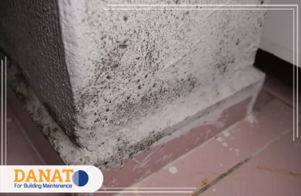 شركة معالجة الرطوبة في راس الخيمة