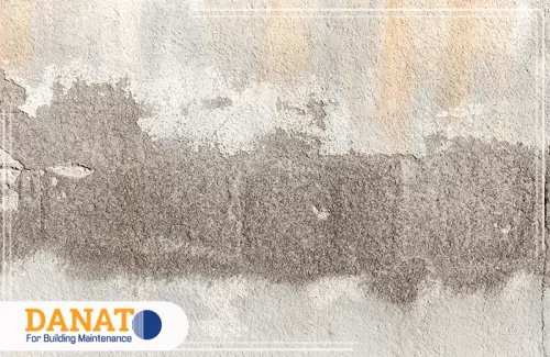 شركة معالجة رطوبة الاسقف في الفجيرة 0545248958 دانات اللؤلؤ آثار رطوبة منتشرة على الجدار الداخلي قبل الإصلاح مع شركة معالجة الرطوبة في الفجيرة.