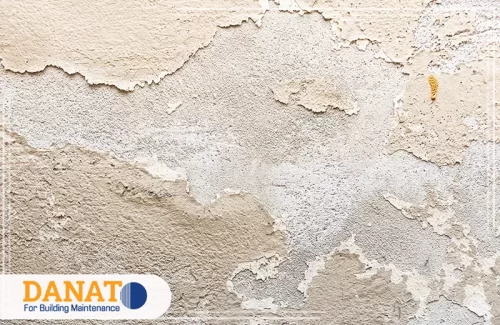 شركة معالجة رطوبة الحمامات في الفجيرة 0545248958 دانات اللؤلؤ تقشر اللياسة والدهان بسبب الرطوبة قبل المعالجة من شركة معالجة الرطوبة في الفجيرة.