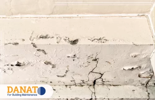 شركة معالجة رطوبة الاسقف في راس الخيمة 0545248958 دانات اللؤلؤ تصلح شركة معالجة الرطوبة تشققات السقف وآثار الرطوبة لحماية الدهان من التدهور بشكل آمن