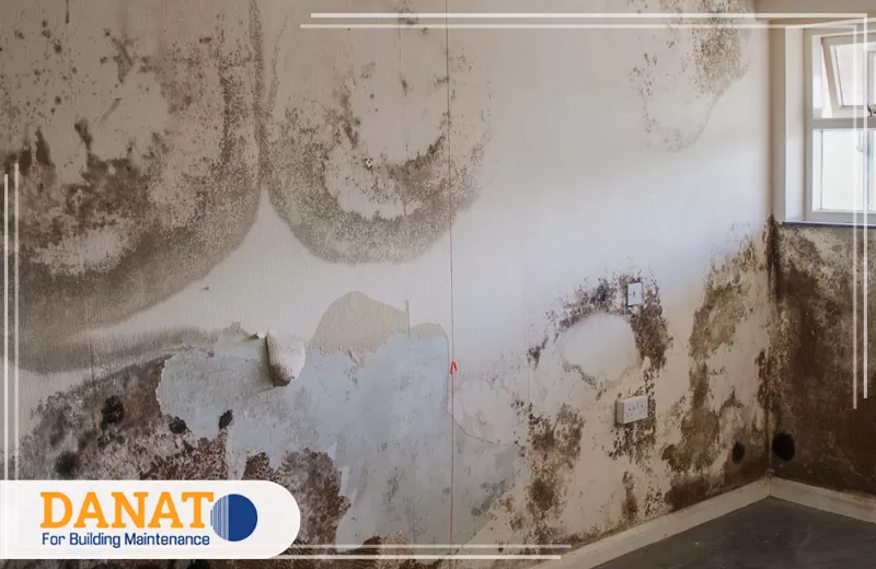 لإصلاح أضرار الرطوبة اتصل بدانات اللؤلؤ 0545248958 ترميم الأضرار الناتجة عن تسربات المياه والرطوبة