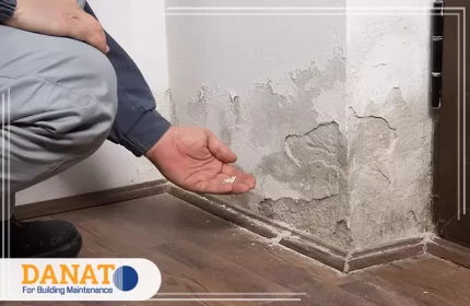 شركة معالجة الرطوبة في ام القيوين