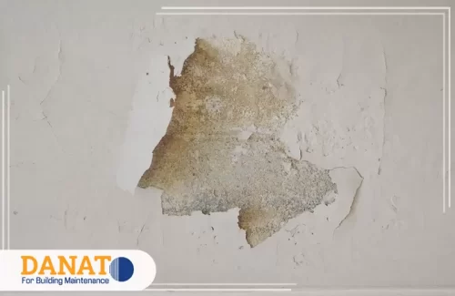 شركة معالجة الرطوبة في الفجيرة 0545248958 دانات اللؤلؤ تلف واضح في دهان الجدار بسبب الرطوبة الداخلية تعالجه شركة معالجة الرطوبة في رأس الخيمة.