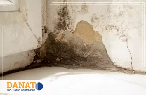 شركة معالجة الرطوبة في راس الخيمة 0545248958 دانات اللؤلؤ تعالج دانات اللؤلؤ عفن الجدران قرب الحمام وتوقف مصدر الرطوبة من الأساس بشكل آمن.