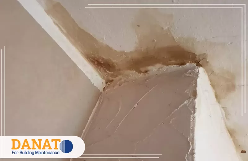 معالجة رطوبة الأسقف في ام القيوين 0545248958 دانات اللؤلؤ بقع رطوبة وتلفًا في اللياسة عند التقاء الجدار بالسقف، ما يتطلب معالجة مصدر التسرب وترميم الجزء المتضرر.